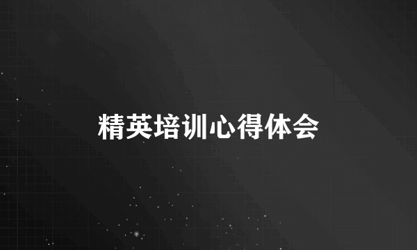 精英培训心得体会