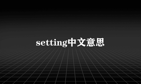 setting中文意思