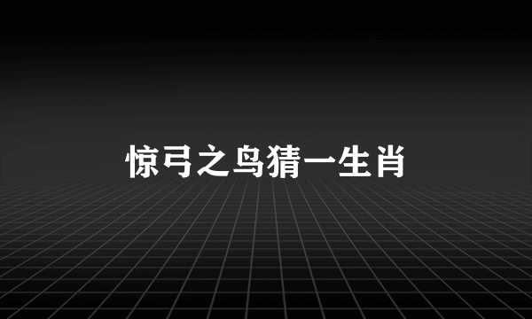 惊弓之鸟猜一生肖