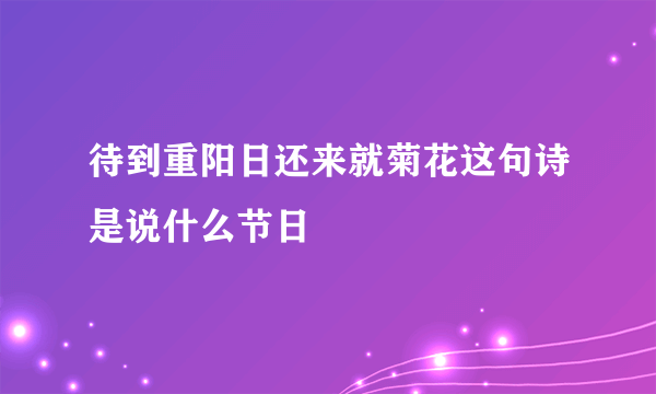 待到重阳日还来就菊花这句诗是说什么节日