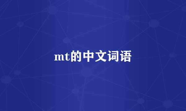 mt的中文词语