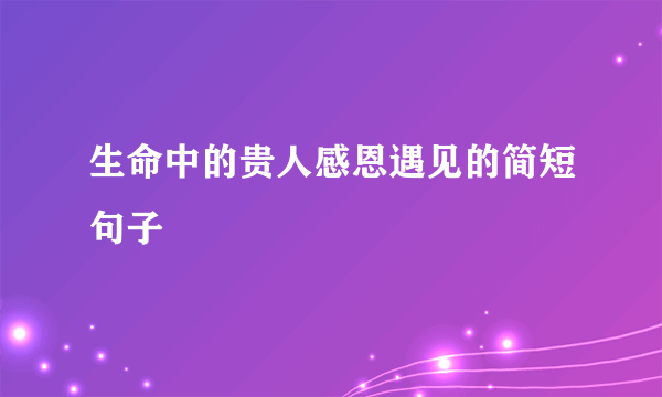 生命中的贵人感恩遇见的简短句子