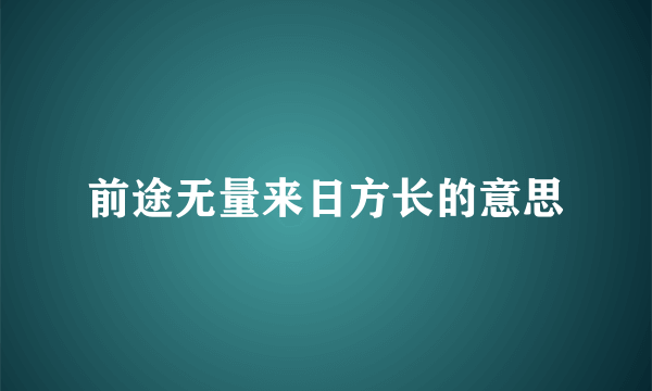前途无量来日方长的意思