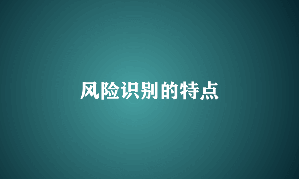 风险识别的特点
