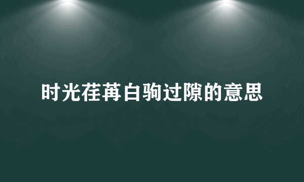 时光荏苒白驹过隙的意思