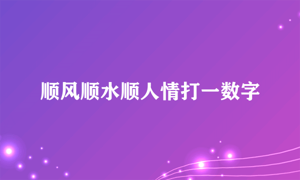 顺风顺水顺人情打一数字