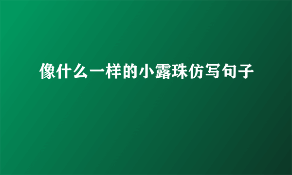 像什么一样的小露珠仿写句子