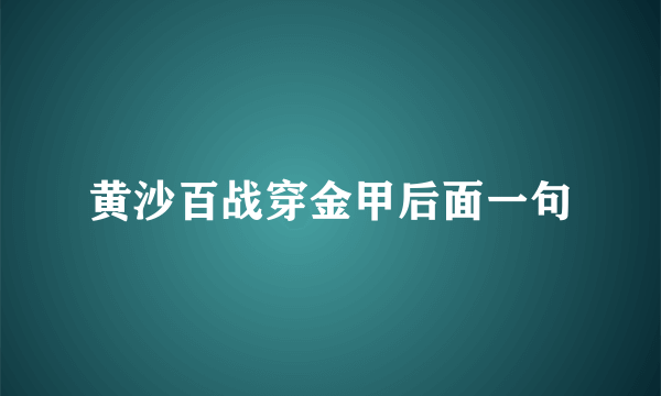 黄沙百战穿金甲后面一句