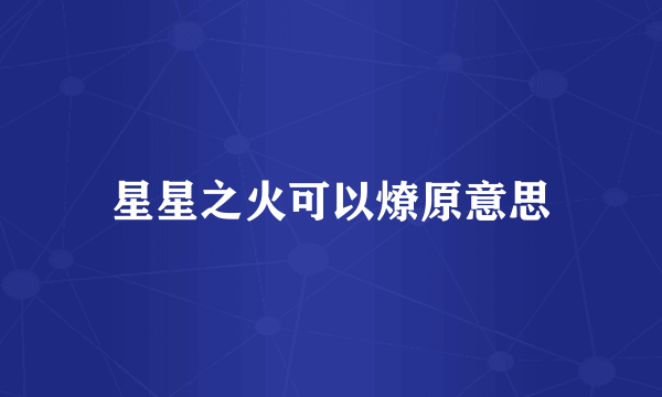 星星之火可以燎原意思