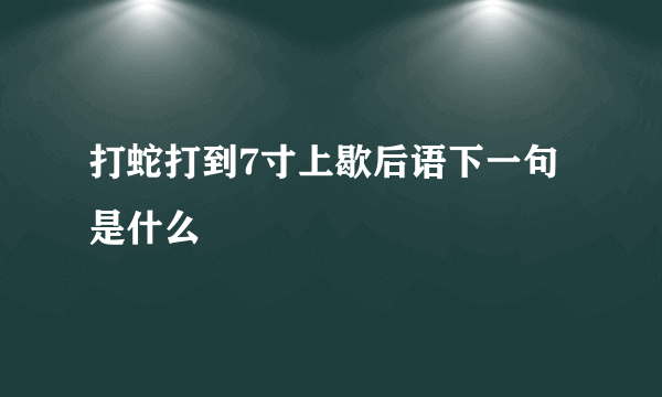 打蛇打到7寸上歇后语下一句是什么