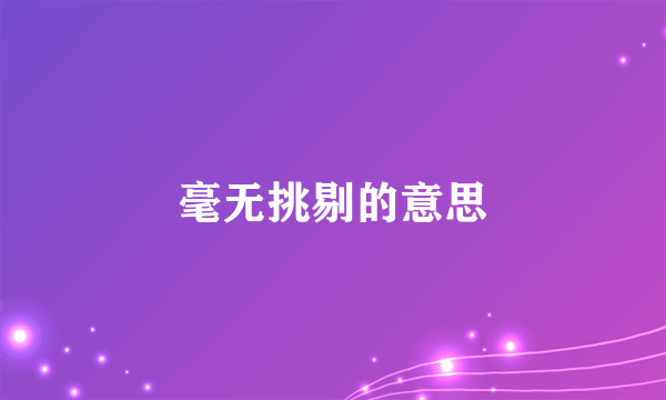 毫无挑剔的意思