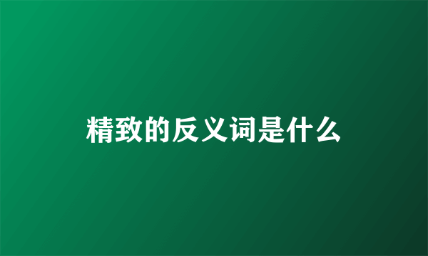 精致的反义词是什么