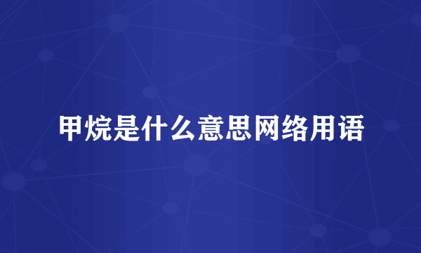 甲烷是什么意思网络用语