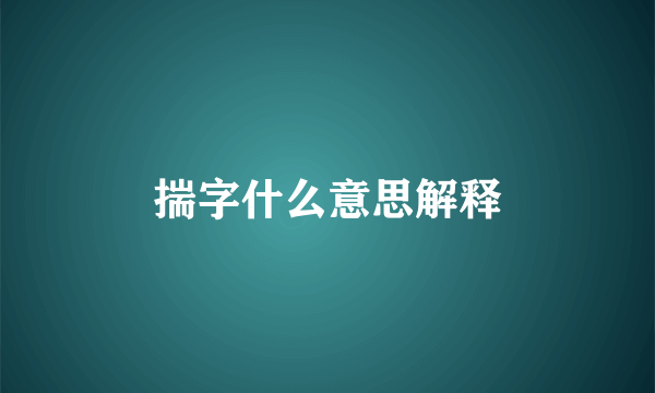 揣字什么意思解释