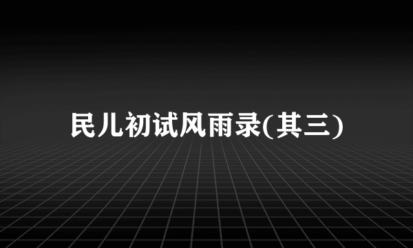民儿初试风雨录(其三)
