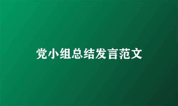 党小组总结发言范文