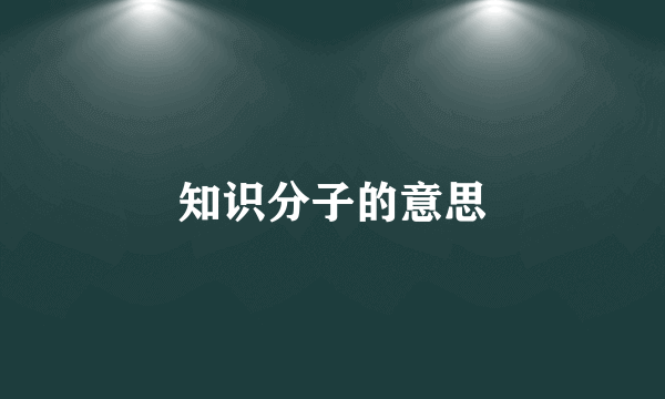 知识分子的意思