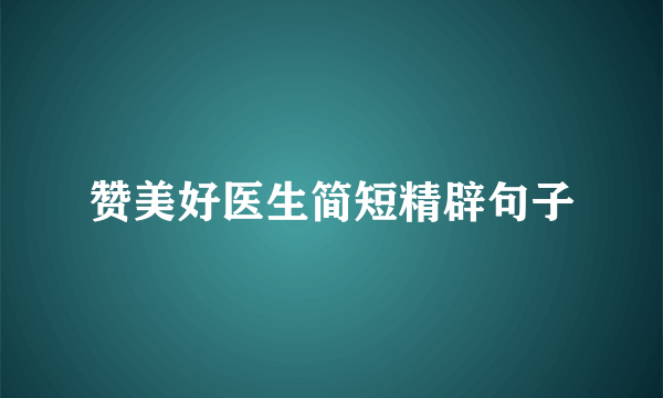 赞美好医生简短精辟句子