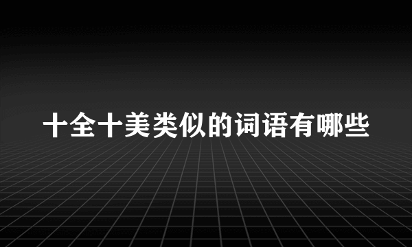十全十美类似的词语有哪些