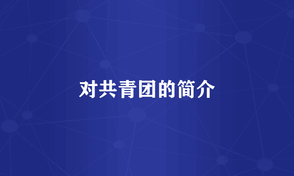 对共青团的简介