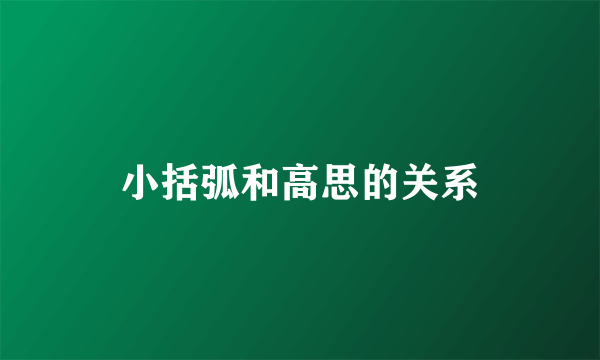 小括弧和高思的关系
