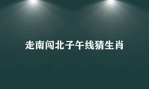 走南闯北子午线猜生肖