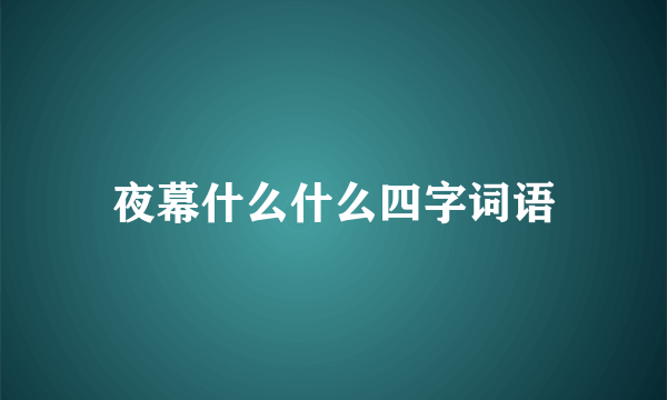 夜幕什么什么四字词语