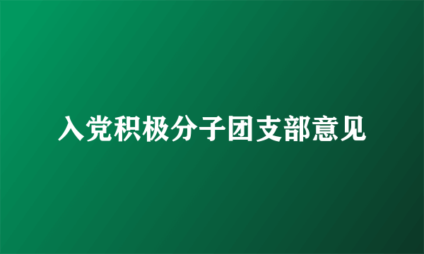 入党积极分子团支部意见