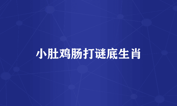 小肚鸡肠打谜底生肖