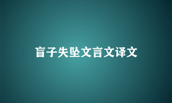 盲子失坠文言文译文
