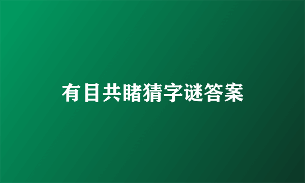有目共睹猜字谜答案