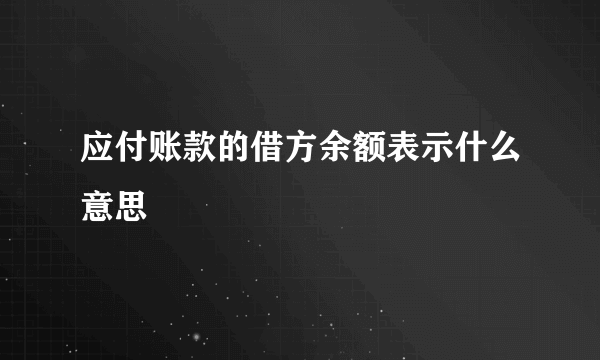 应付账款的借方余额表示什么意思