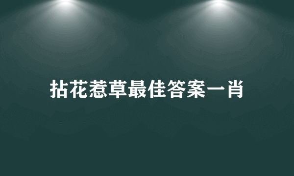 拈花惹草最佳答案一肖