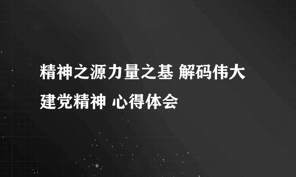 精神之源力量之基 解码伟大建党精神 心得体会