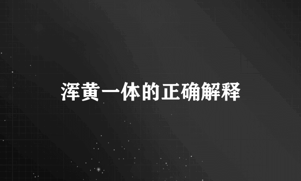 浑黄一体的正确解释