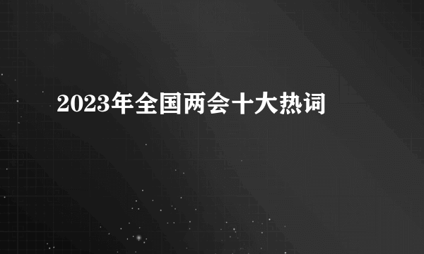 2023年全国两会十大热词