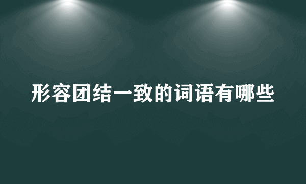 形容团结一致的词语有哪些