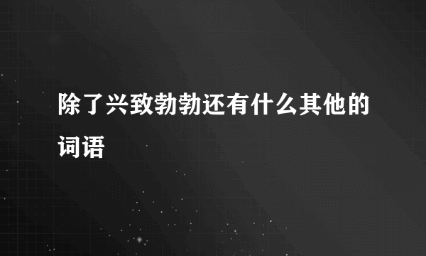 除了兴致勃勃还有什么其他的词语