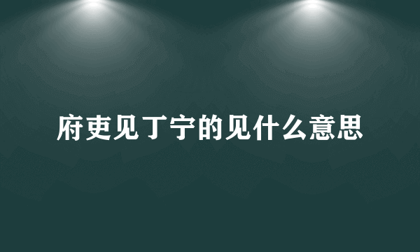 府吏见丁宁的见什么意思
