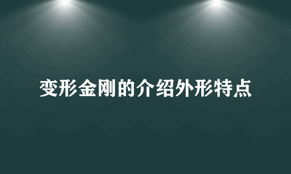 变形金刚的介绍外形特点