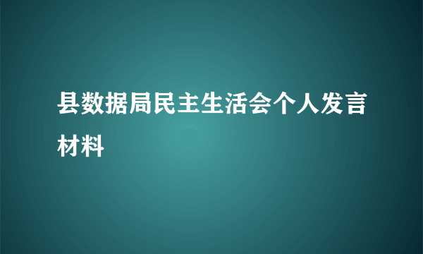 县数据局民主生活会个人发言材料