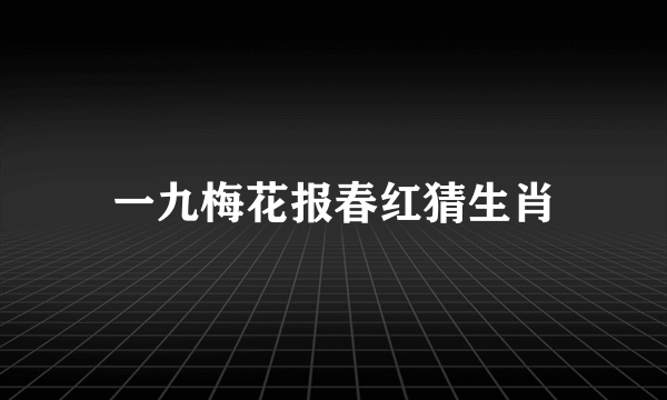 一九梅花报春红猜生肖
