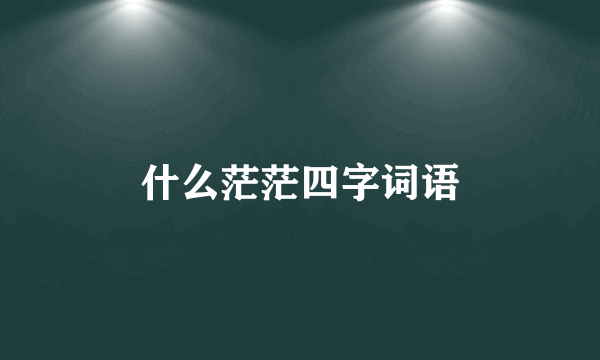 什么茫茫四字词语