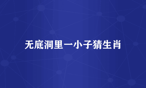 无底洞里一小子猜生肖