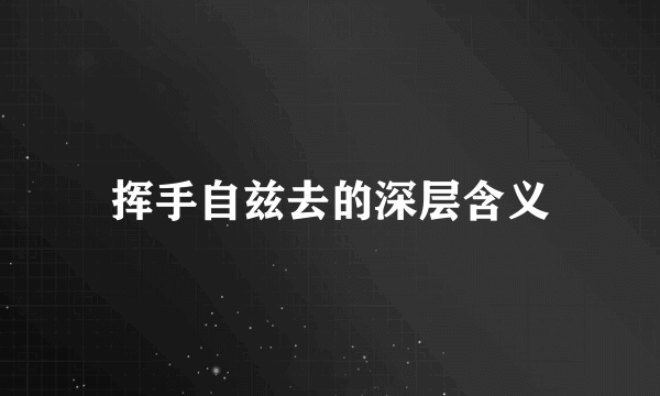 挥手自兹去的深层含义