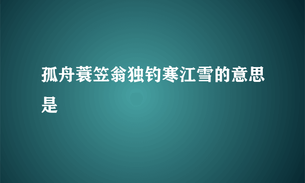 孤舟蓑笠翁独钓寒江雪的意思是