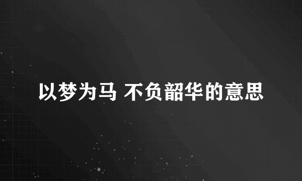 以梦为马 不负韶华的意思