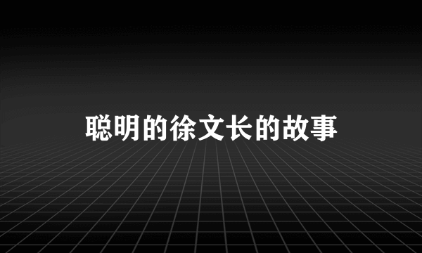 聪明的徐文长的故事