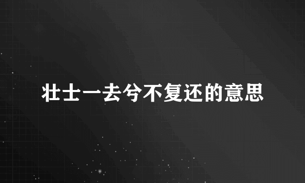 壮士一去兮不复还的意思