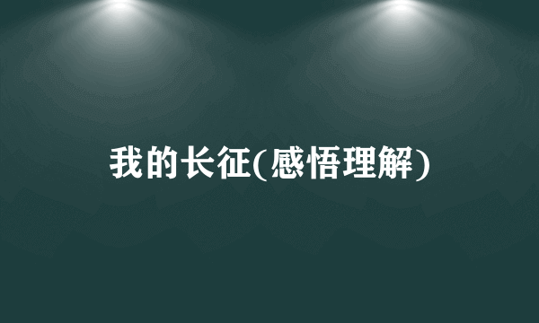 我的长征(感悟理解)